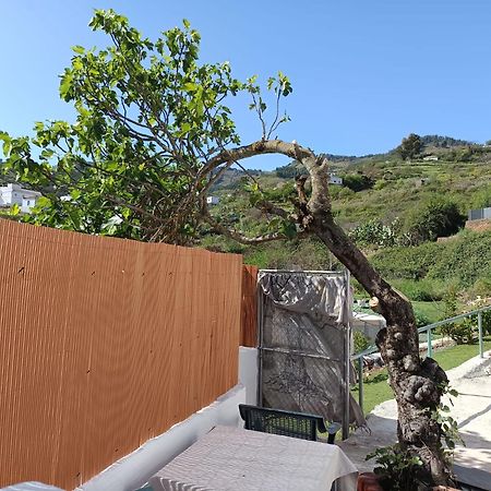 Vv Rural Finca Ecocielo Vega de San Mateo Eksteriør bilde