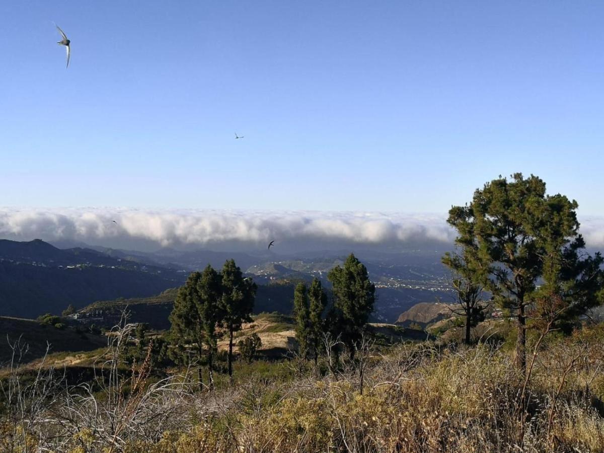 Vv Rural Finca Ecocielo Vega de San Mateo Eksteriør bilde