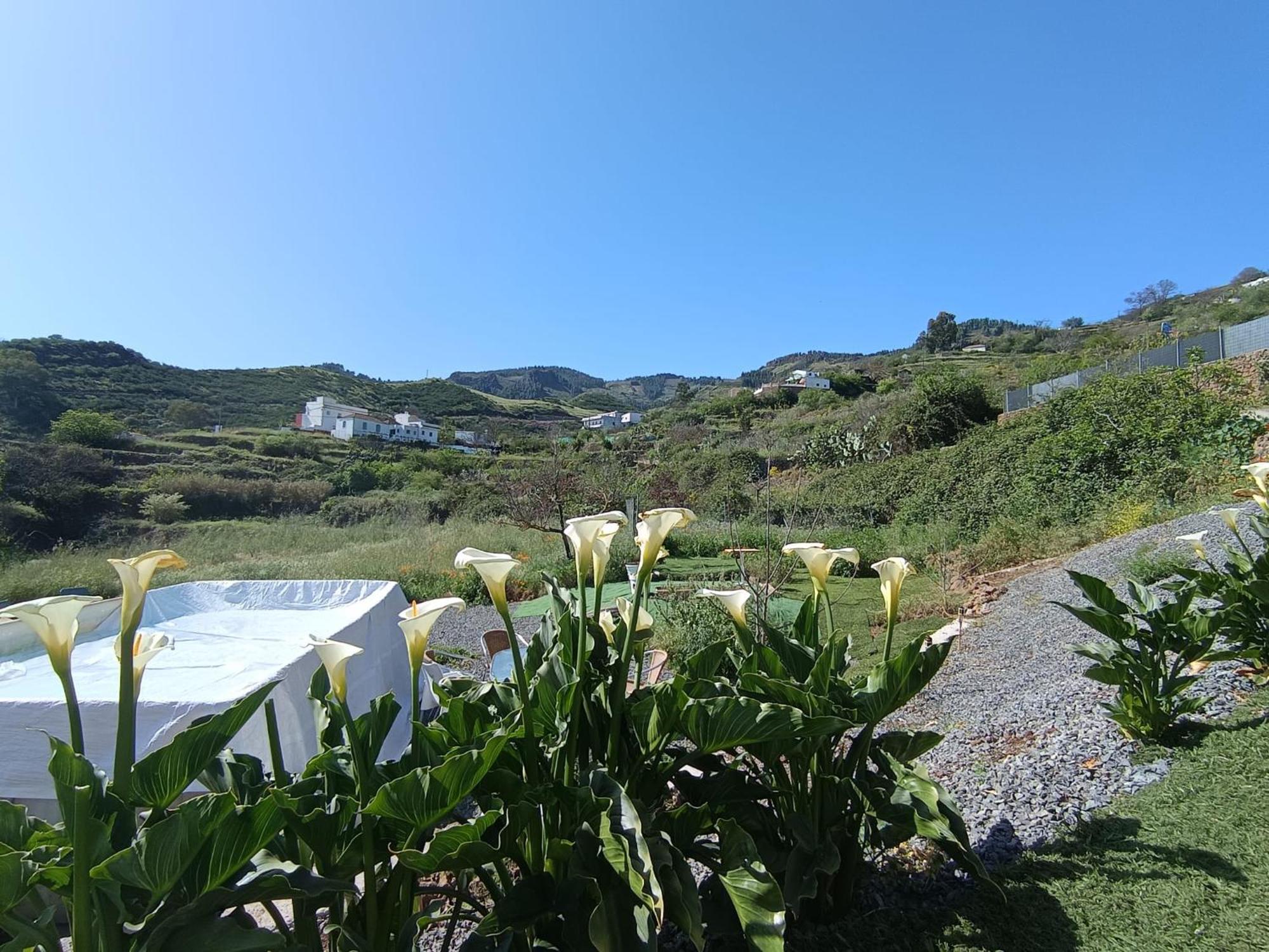 Vv Rural Finca Ecocielo Vega de San Mateo Eksteriør bilde